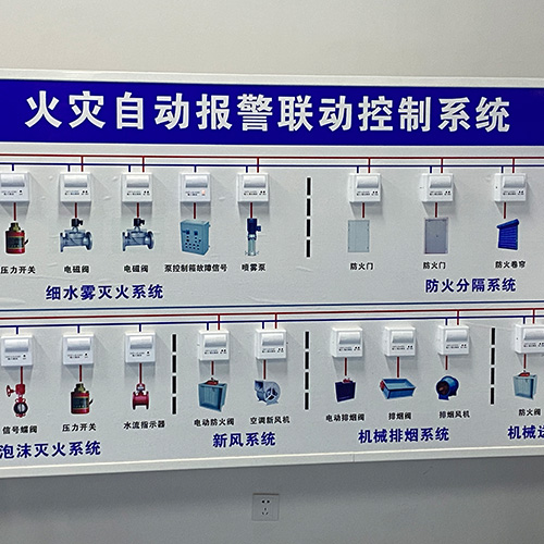 環境展示